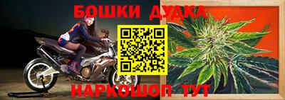 тгк Заводоуковск